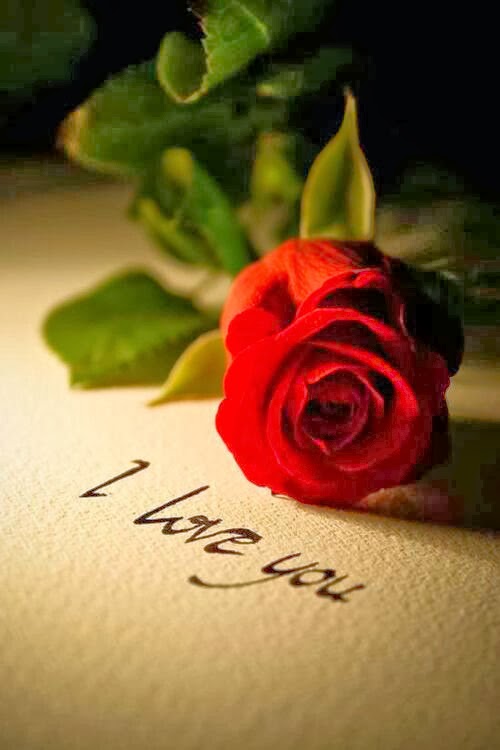 i love you with a rose
