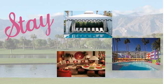 staypalmsprings copy