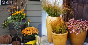 fall