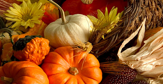 Gobble, Gobble, Gobble…