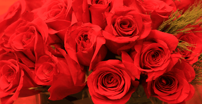Happy Valentines Day