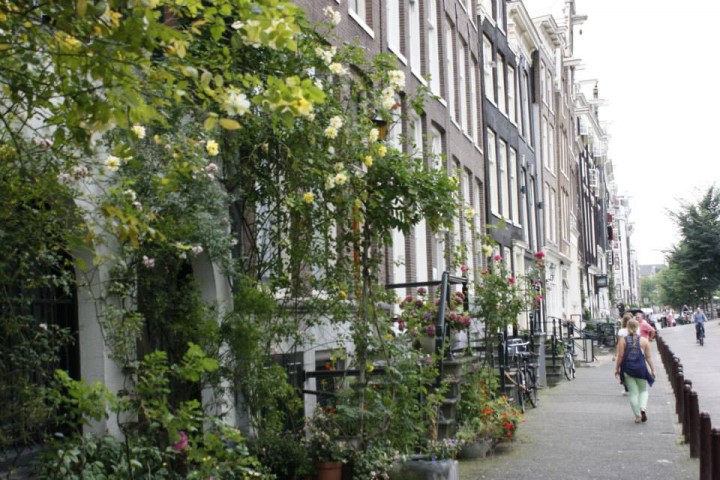 amsterdamflowers