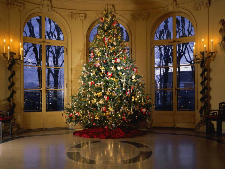 christmas-tree-pics-0121