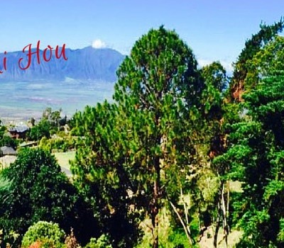 Happy New Year from Maui: Time to Slow Down