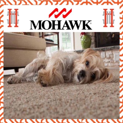 Mohawk Carpets Magical SmartStrand  No More Worrying About Spills!