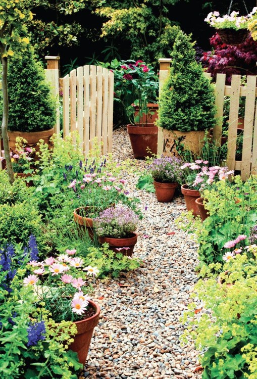 English Cottage Garden - Container Gardening - Rustic Style garden