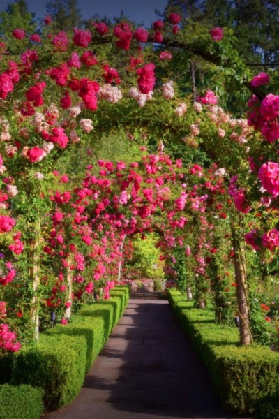 The Stunningly Beautiful Butchart Gardens