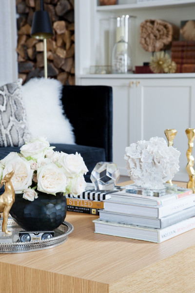 Our Top 5 Tips For Styling Your Bookcases