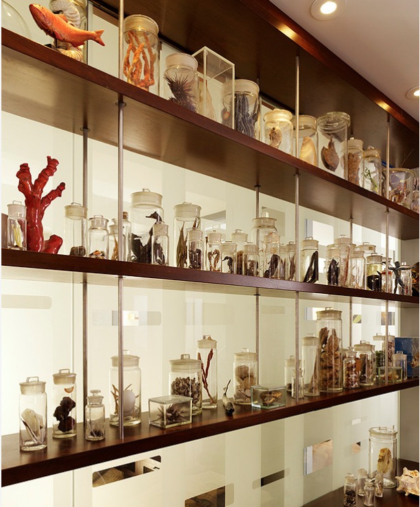 displaying collections