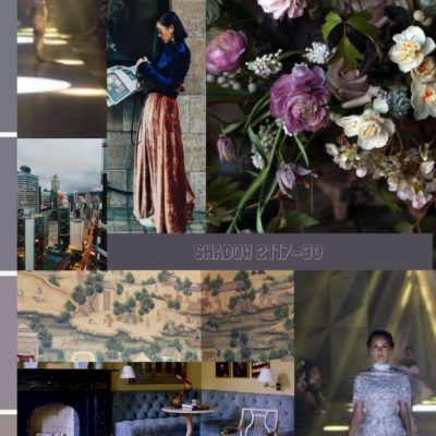 The Visual Influences: Benjamin Moores Color Of The Year 2017: Shadow 2117 -30