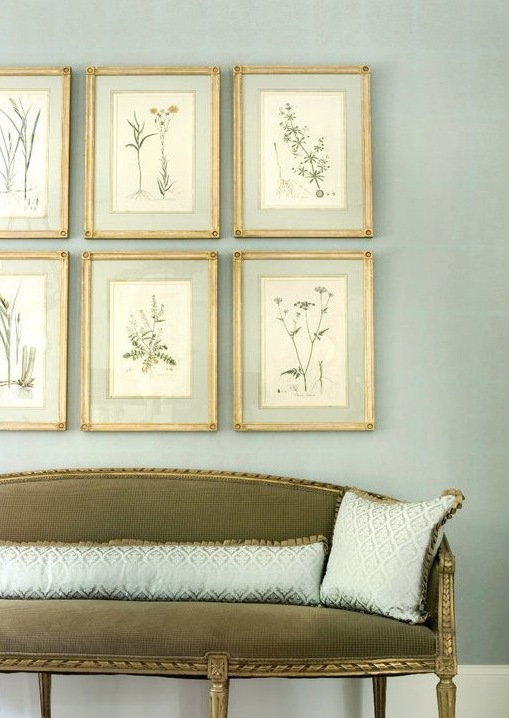 Botanical art framed with french matting by Liz Williams Interiors Photo