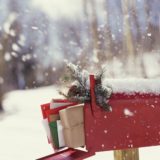 Our Favorite Christmas Mailbox Decorations!
