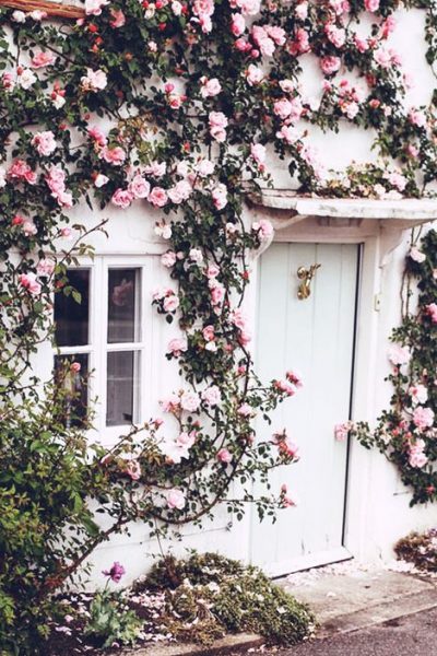 Millennial Pink: The Sophisticated Palette Has Returned!
