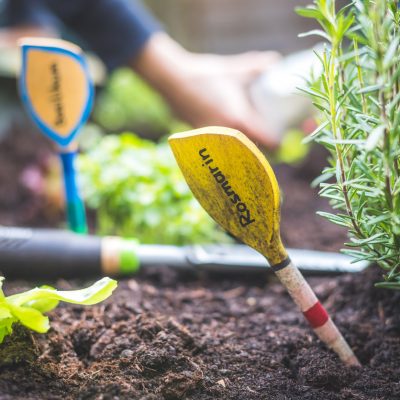 15 Creative DIY Garden Markers & Plant Labels