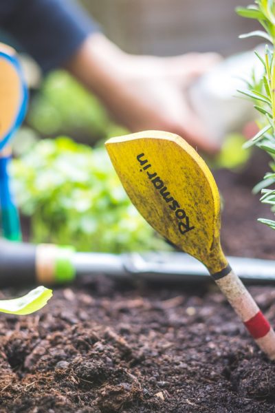 diy garden markers